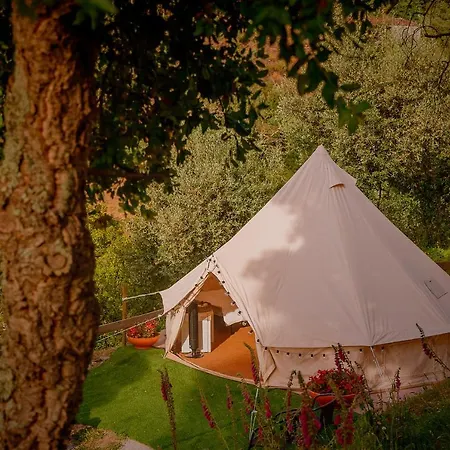 خيمة فخمة Arrabia Glamping Bell Tents *